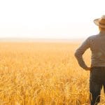 Carlos Eduardo Moraes Nunes