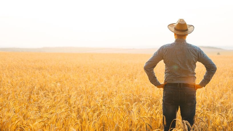 Carlos Eduardo Moraes Nunes