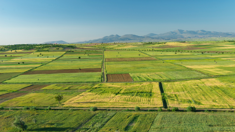 Agro Sustentável: Para Aldo, a sustentabilidade é a chave para o futuro do setor. Desafio ou oportunidade?